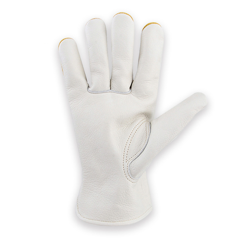 Caminhão respirável da prova d - Driving Gloves Leather avaliação e preço